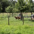 IMG_2037157