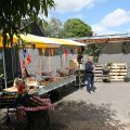 IMG_2037160