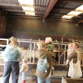 IMG_2037178