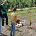 IMG_2037196