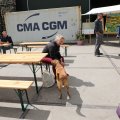 IMG_2037290