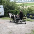 IMG_2037325
