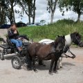 IMG_2037330