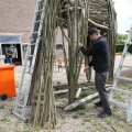 IMG_2037372