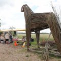 IMG_2037375