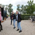 IMG_2037383