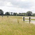 IMG_2037437