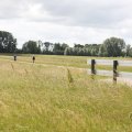 IMG_2037438