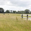 IMG_2037439