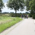 IMG_2037453