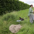 IMG_2037463
