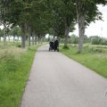 IMG_2037470