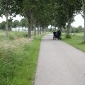 IMG_2037471
