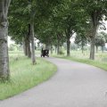 IMG_2037474