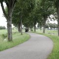 IMG_2037475