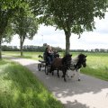 IMG_2037481