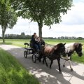 IMG_2037483