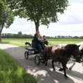 IMG_2037484