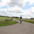 IMG_2037514