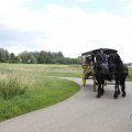 IMG_2037560