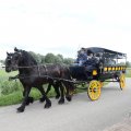 IMG_2037561