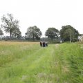 IMG_2037591
