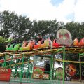 IMG_2038982