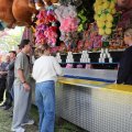 IMG_2039110