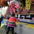 IMG_2039131
