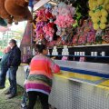 IMG_2039135