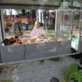 IMG_2039139