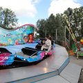 IMG_2039215