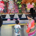 IMG_2039236