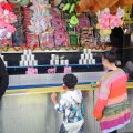 IMG_2039239