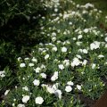 DSC08625