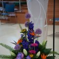 DSC08906
